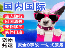 首都航空空运国际宠物托运 【国